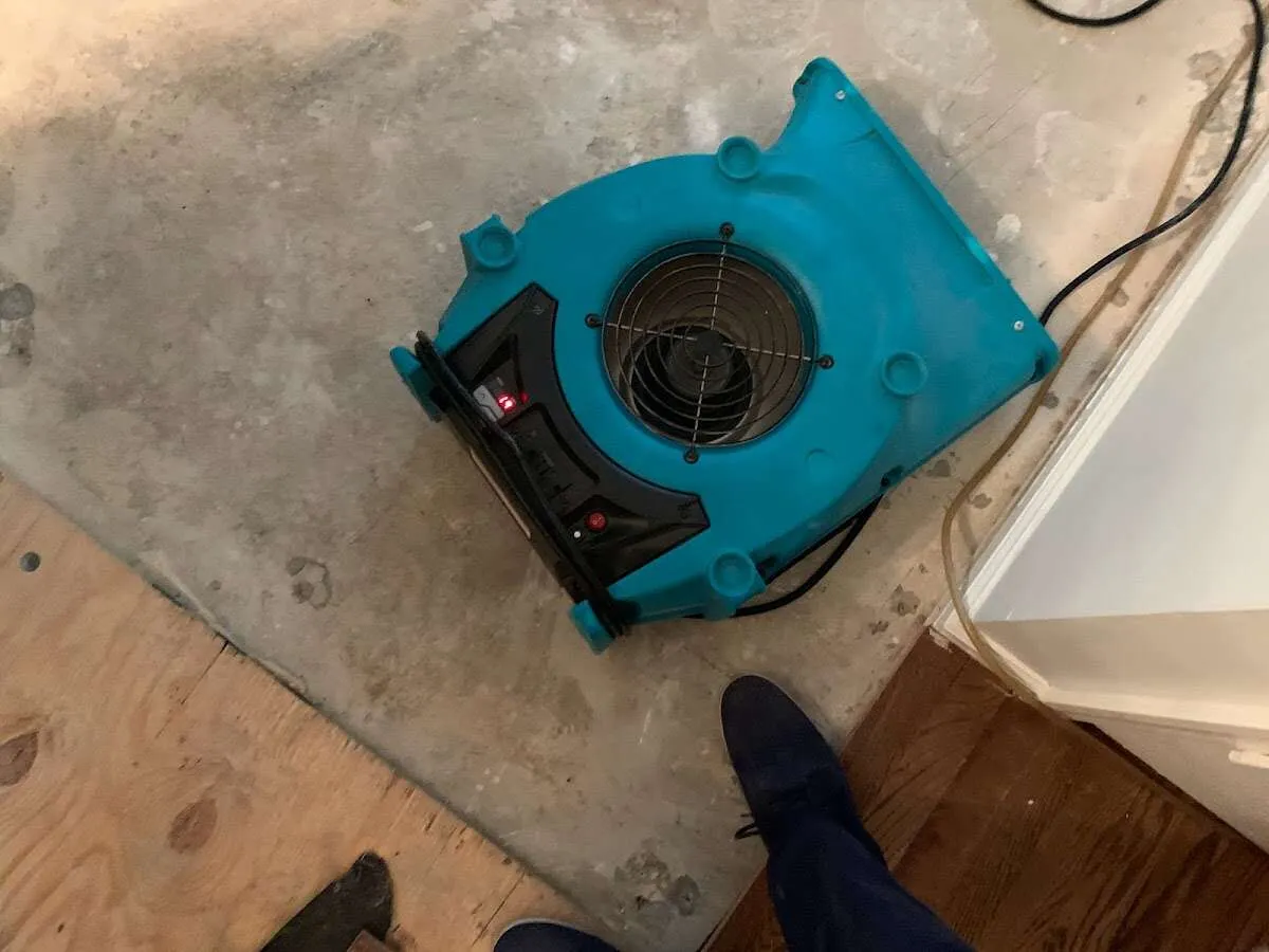 Air mover drying subfloor during Commercial Water Damage Restoration in Prospect Park